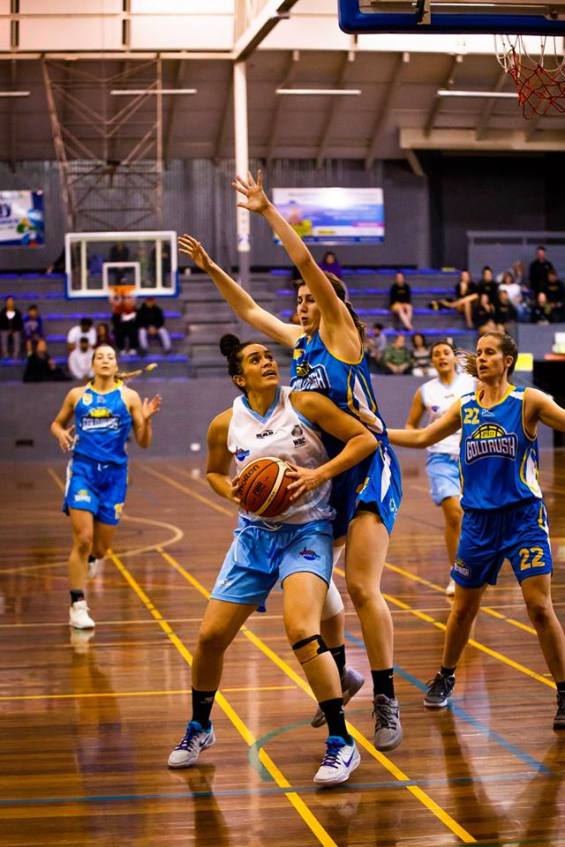 31949584_10155388127048053_2427563207016054784_n